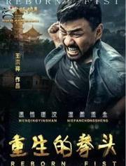 重生的拳头在线观看  第1张